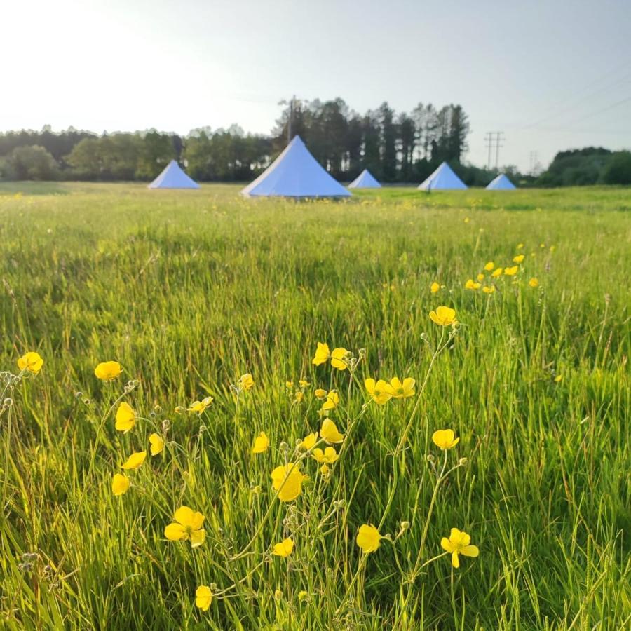Dorset Glamping Fields Hotel Corfe Mullen Buitenkant foto